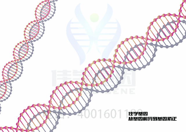【佳學基因檢測】做Diamond-Blackfan貧血1型基因解碼、<a href=http://m.jinzhounet.cn/tk/jiema/cexujishu/2021/31933.html>基因檢測</a>方便嗎？