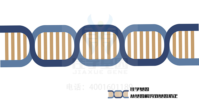 【佳學基因檢測】需要多長時間可以拿MASP2缺陷基因解碼、<a href=http://m.jinzhounet.cn/tk/jiema/cexujishu/2021/31933.html>基因檢測</a>報告？