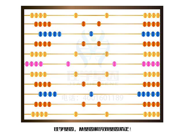 【佳學(xué)基因檢測(cè)】線粒體DNA耗竭綜合征7（肝硬化型）基因解碼、<a href=http://m.jinzhounet.cn/tk/jiema/cexujishu/2021/31933.html>基因檢測(cè)</a>報(bào)告時(shí)間是一樣的嗎？