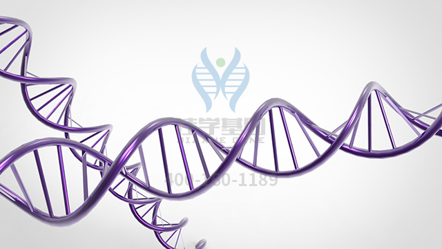 【佳學基因檢測】1型致死性骨發(fā)育不全基因解碼、<a href=http://m.jinzhounet.cn/tk/jiema/cexujishu/2021/31933.html>基因檢測</a>的樣品有區(qū)別嗎？