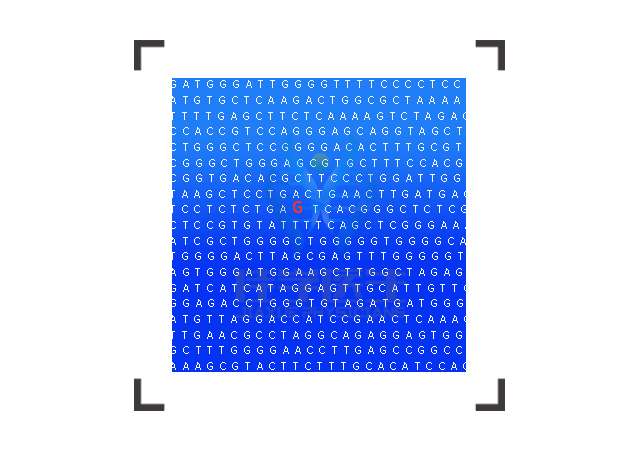 【眼科遺傳病】做<font color='red'><font color='red'>Martsolf</font></font>綜合征基因解碼、基因檢測(cè)方便嗎？