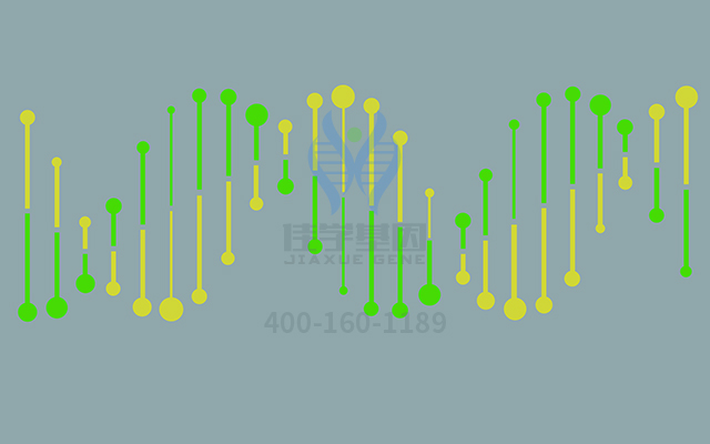 【佳學(xué)基因檢測(cè)】如何區(qū)分腎上腺功能不全先天性46XY（部分或有效）性逆轉(zhuǎn)基因解碼、<a href=http://m.jinzhounet.cn/tk/jiema/cexujishu/2021/31933.html>基因檢測(cè)</a>？