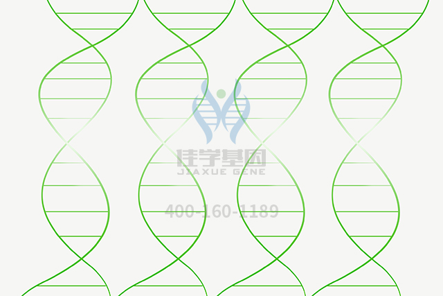【佳學(xué)基因檢測(cè)】如何做鼻咽癌基因解碼、<a href=http://m.jinzhounet.cn/tk/jiema/cexujishu/2021/31933.html>基因檢測(cè)</a>？