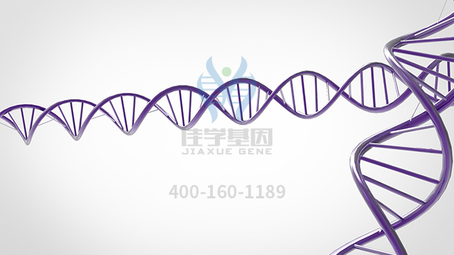 【佳學(xué)基因檢測(cè)】做痙攣性截癱顯性基因解碼、<a href=http://m.jinzhounet.cn/tk/jiema/cexujishu/2021/31933.html>基因檢測(cè)</a>采用什么樣品？