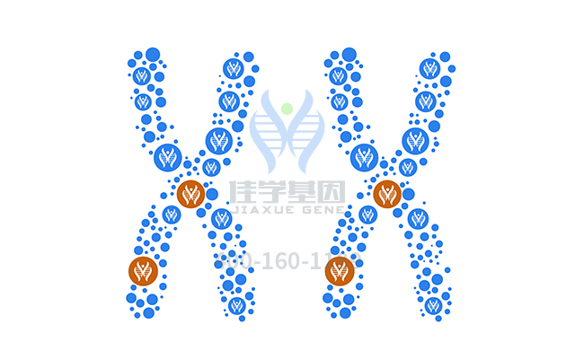 【佳學(xué)基因檢測】如何做<font color='red'><font color='red'>乳糖</font><font color='red'>不耐</font>癥</font>基因解碼、基因檢測？