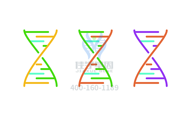 【佳學(xué)基因檢測(cè)】糖尿病1型易感性基因解碼、<a href=http://m.jinzhounet.cn/tk/jiema/cexujishu/2021/31933.html>基因檢測(cè)</a>報(bào)告時(shí)間是一樣的嗎？
