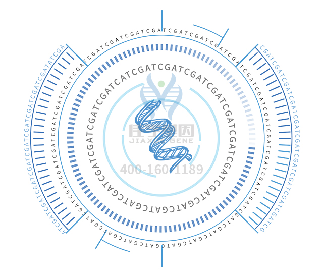 【佳學(xué)基因檢測(cè)】做Bj?rnstad綜合征基因解碼、<a  data-cke-saved-href=http://m.jinzhounet.cn/tk/jiema/cexujishu/2021/31933.html href=http://m.jinzhounet.cn/tk/jiema/cexujishu/2021/31933.html>基因檢測(cè)</a>方便嗎？
