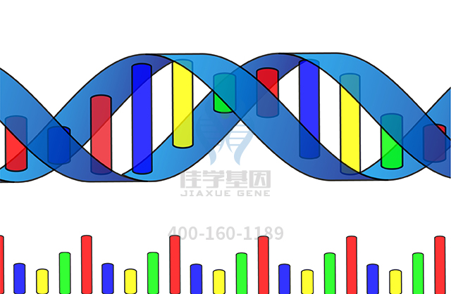【佳學(xué)基因檢測(cè)】多中心骨溶解性腎病基因解碼、<a href=http://m.jinzhounet.cn/tk/jiema/cexujishu/2021/31933.html>基因檢測(cè)</a>可以只做基因解碼嗎？