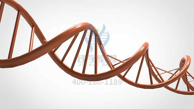 【佳學(xué)基因檢測(cè)】如何區(qū)分致死性先天性攣縮綜合征9型基因解碼、<a href=http://m.jinzhounet.cn/tk/jiema/cexujishu/2021/31933.html>基因檢測(cè)</a>？