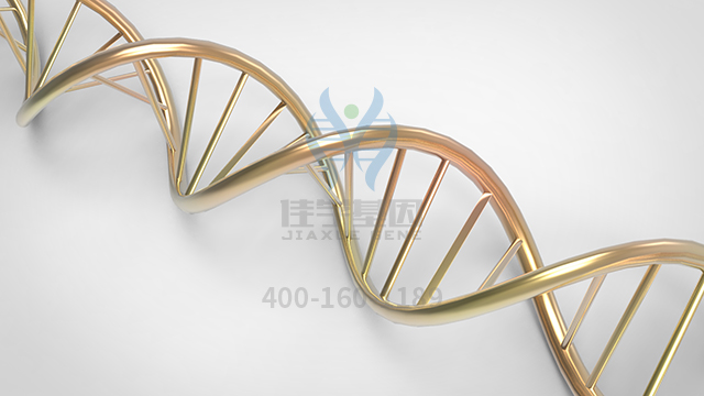 疣敵藥物<a href=http://m.jinzhounet.cn/tk/jiema/cexujishu/2021/31933.html>基因檢測</a>