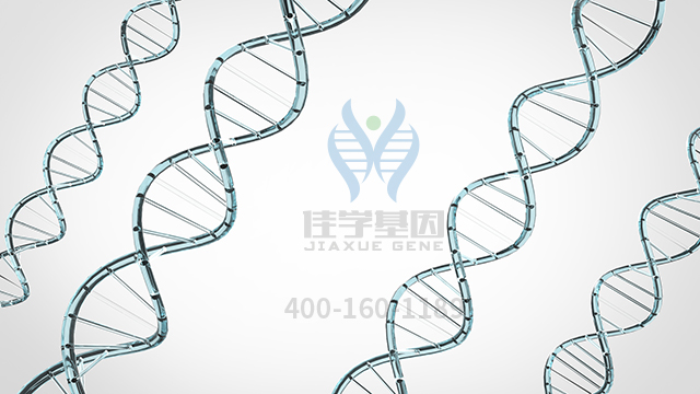 【佳學基因檢測】做丙型球蛋白血癥非布魯頓型基因解碼、<a  data-cke-saved-href=http://m.jinzhounet.cn/tk/jiema/cexujishu/2021/31933.html href=http://m.jinzhounet.cn/tk/jiema/cexujishu/2021/31933.html>基因檢測</a>采用什么樣品？