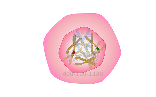 【佳學(xué)基因檢測】做甲狀腺相關(guān)性眼病易感性基因解碼、<a href=http://m.jinzhounet.cn/tk/jiema/cexujishu/2021/31933.html>基因檢測</a>需要到總部嗎？