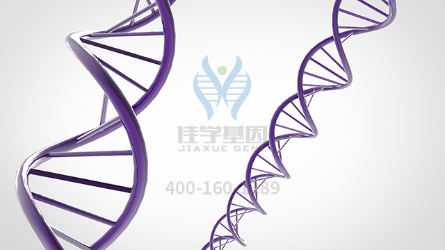 【佳學基因檢測】怎么做Nicolaides-Baraitser綜合征基因解碼、<a href=http://m.jinzhounet.cn/tk/jiema/cexujishu/2021/31933.html>基因檢測</a>?