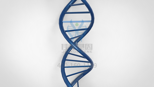【佳學(xué)基因檢測】需要多長時(shí)間可以拿脂肪代謝障礙基因解碼、<a href=http://m.jinzhounet.cn/tk/jiema/cexujishu/2021/31933.html>基因檢測</a>報(bào)告？