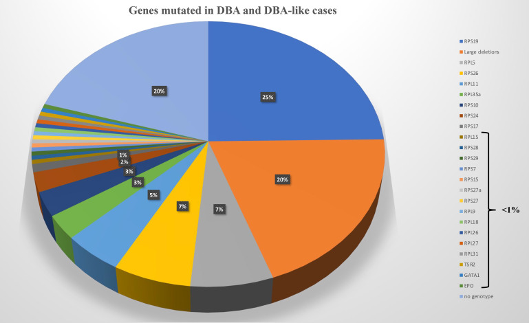 基因在 DBA 和類(lèi)似 DBA 的病例中發(fā)生突變